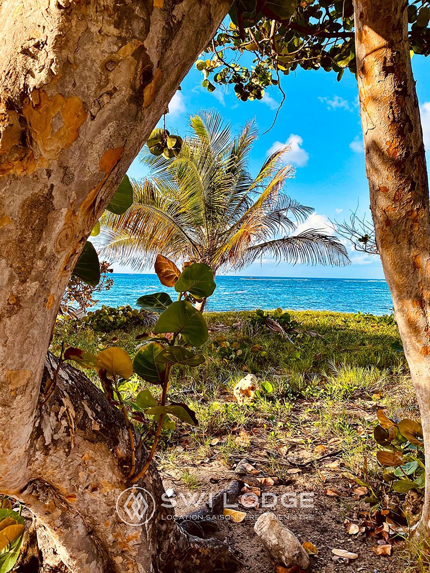 Swilodge Vue Sur Mer ! Petit Dejeuner Et Location De Voiture Possible Льо Мул Екстериор снимка